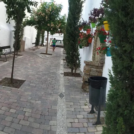 1 Estepona